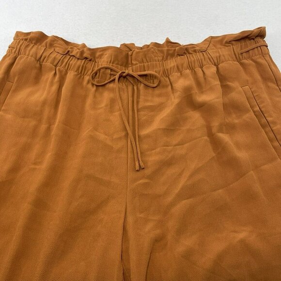 Eileen Fisher Women Pants Slacks Trousers Size L Fall Pumpkin Elastic Workwear - Picture 6 of 10